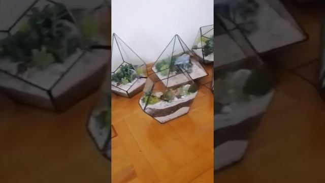 Флорариум формы смотреть онлайн
