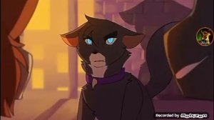 коты воители бич клип