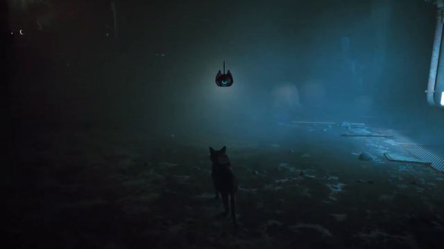 STRAY - ПРОХОЖДЕНИЕ #4 смотреть онлайн