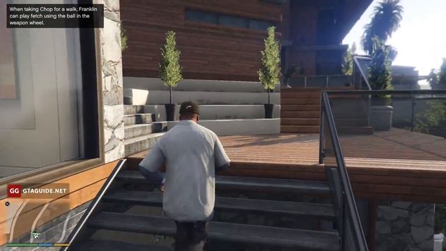 Walk and Play Fetch With Chop — GTA 5 смотреть онлайн