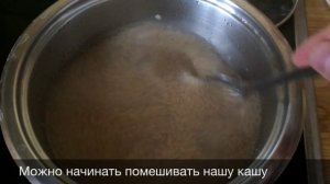 Как нужно варить кашу из белых семян амаранта