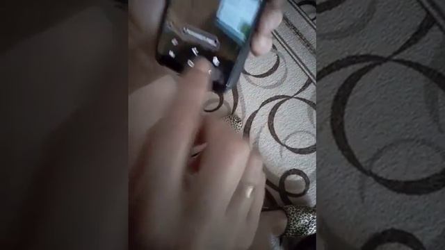 Приколы и достопримечательности города Брянска. смотреть онлайн