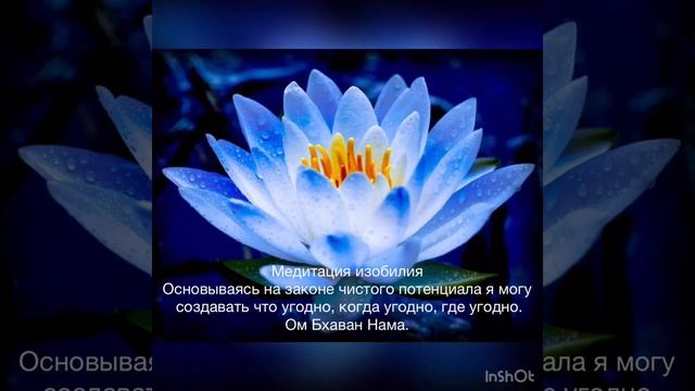 8 день Медитация на изобилие оригинальная версия на английском языке смотреть онлайн