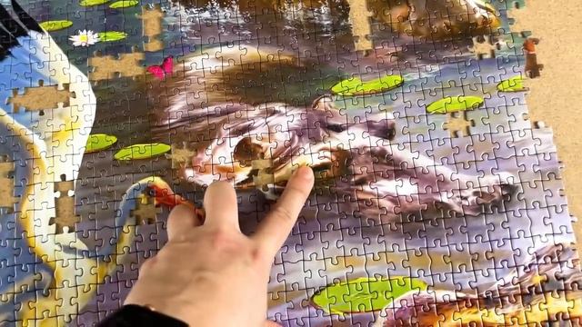 Building My BIG DREAM Puzzle (Wildlife, 33600 Pieces) Part 5