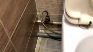 Унитаз Damixa Redo Blue Origin one. 5 лет спустя.