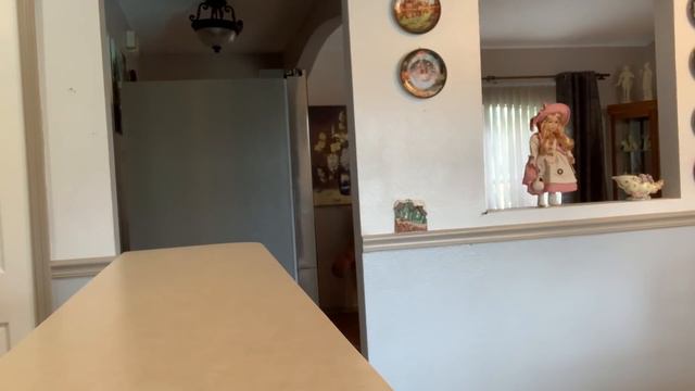 ПЕРЕД КЕМ МЫ ВИНОВАТЫ🔴ЧТО С НАМИ НЕ ТАК?🔴ПОКАЗЫВАЮ КАК ВСЁ БЫЛО