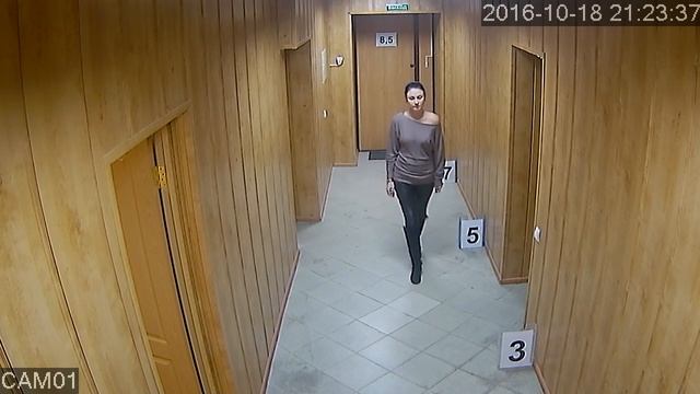 Видеокамера Tigris Ta-m13k коридор смотреть онлайн