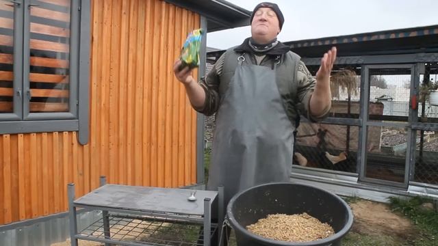 ВСЮ ЗИМУ С ЯЙЦОМ. ЛЕГГОРН ЛУЧШАЯ В МИРЕ НЕСУШКА ! смотреть онлайн