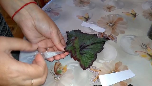 И снова посылочка // Меня "совратили" ... смотреть онлайн