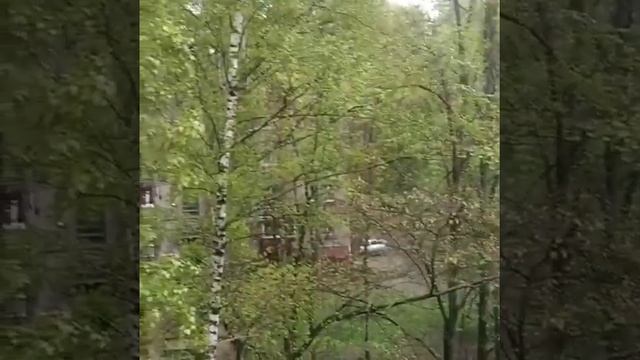 Алюминиевый раздвижной Г-образный балкон на выносе. Результат смотреть онлайн