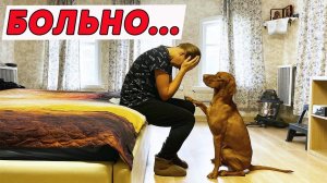 В ОДНО ВРЕМЯ МЫ ПОБЕЖДАЕМ И ТЕРЯЕМ ЧЛЕНОВ СЕМЬИ. Жизнь простых людей.