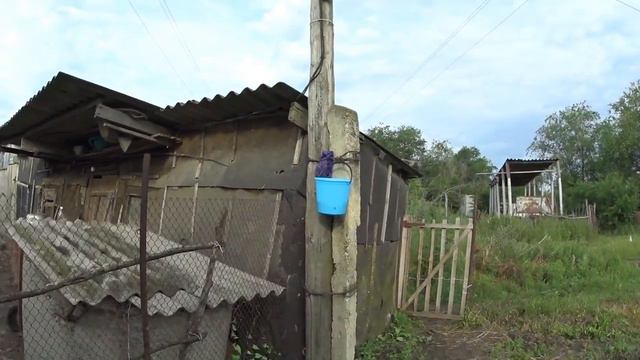 Продувка...// Гуску к гусятам // Клубника на завтрак // Будни деревенщины №27 смотреть онлайн