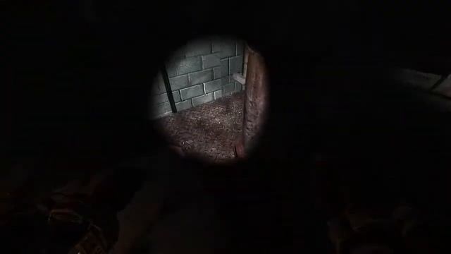 S.T.A.L.K.E.R. - Anomaly. За ИИГ. #10 (Сюрприз от X-18) смотреть онлайн