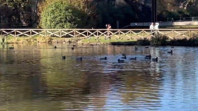 Sempione Park || Milan, Italy || Relaxing Place смотреть онлайн