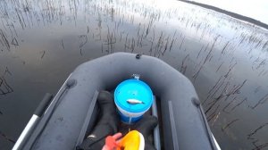 Ловля щуки на кружки поздней осенью