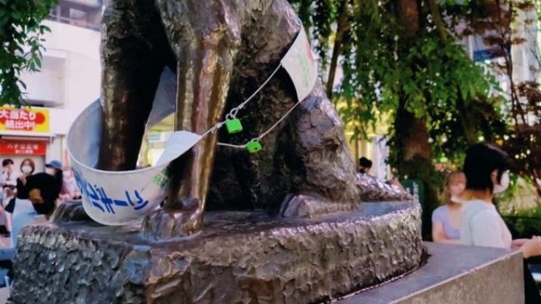 HACHIKO | ハチ公: A DOGS TALE | HACHIKO STATUE | HACHIKO GRAVE | UP-CLOSE | 4K @NOYJITV