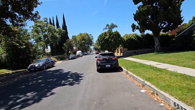 Свобода и жизнь