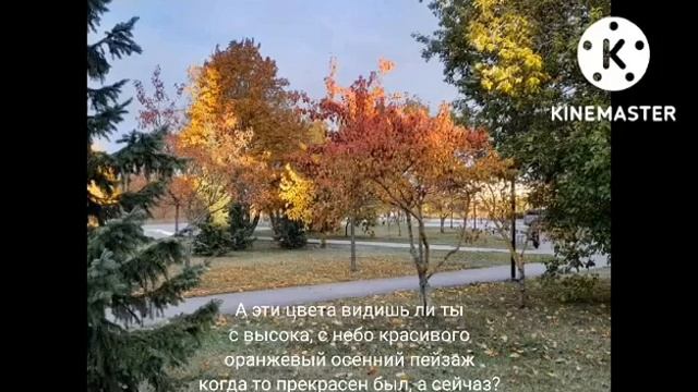 Юра/Юрий Шатунов ❤ Мои стихи "Печальная осень", посвящаются Юре ❤ смотреть онлайн