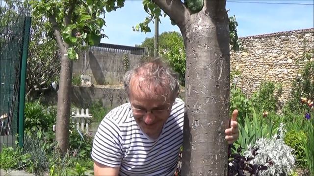 Chaîne Jardinage: Dierama Pendulum: Taille Et Entretien: Plante Vivace
