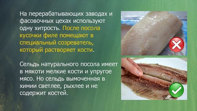 Как выбрать рыбу, чтобы не отравиться. Как определить качество рыбы и её свежесть смотреть онлайн