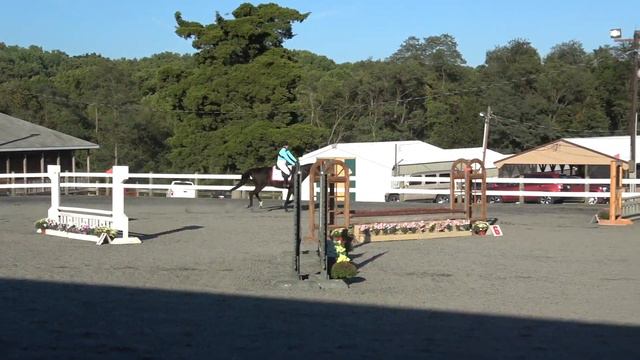 The Real Rider Cup 2019 - Penelope Miller смотреть онлайн