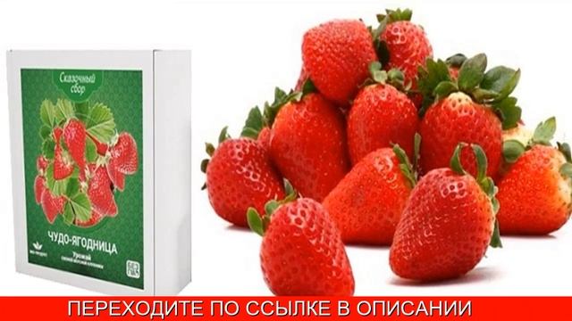 Клубника На Подоконнике Выращивание смотреть онлайн