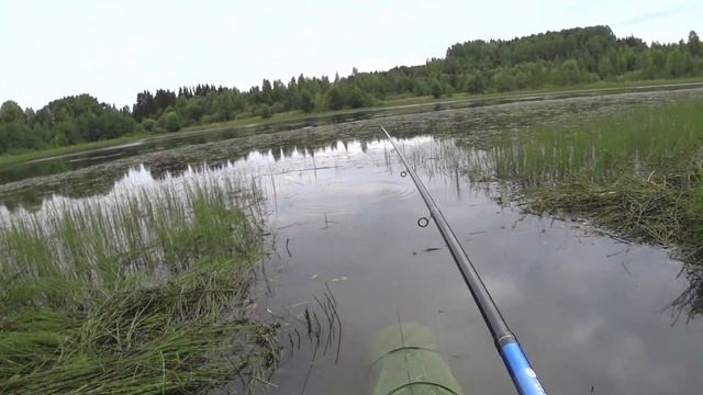 Ловля Карася на Поплавочную Удочку! Утренний Жор Карася!!! смотреть онлайн