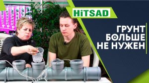 Выращивание растений без грунта ✔️ Гидропоника в домашних условиях