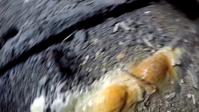Заброшенный госпиталь ВВС смотреть онлайн
