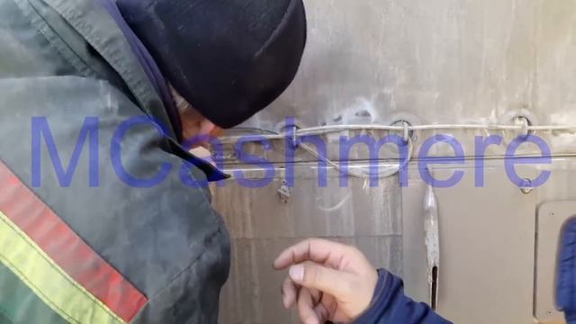 Экспорт из Монголии пряжи из 100% пуха яка и 100% верблюжьего пуха смотреть онлайн