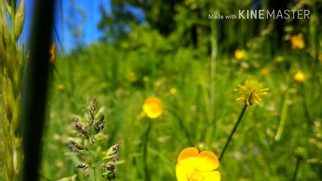 Он Жив, христианские детские стихи и рассказы смотреть онлайн