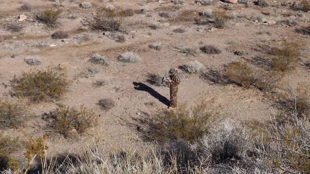 Coyote Hunting - Lucky Duck Revolution Predator Call - ATN X-Sight II смотреть онлайн