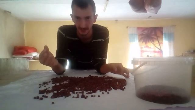 Сушим землянику на русской печке смотреть онлайн