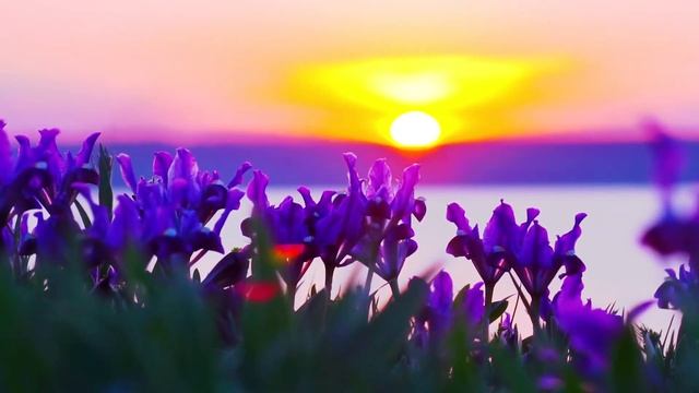 Нежная лечебная музыка здоровья и успокоения нервной системы.