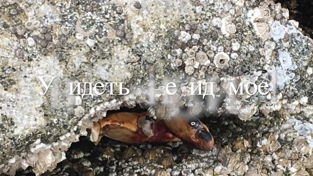 С ДНЕМ РОЖДЕНИЯ МУЖЧИНЕ! / БЕСПОДОБНОЕ ПОЗДРАВЛЕНИЕ С ДНЕМ РОЖДЕНИЯ ЛУЧШЕМУ МУЖЧИНЕ! смотреть онлайн