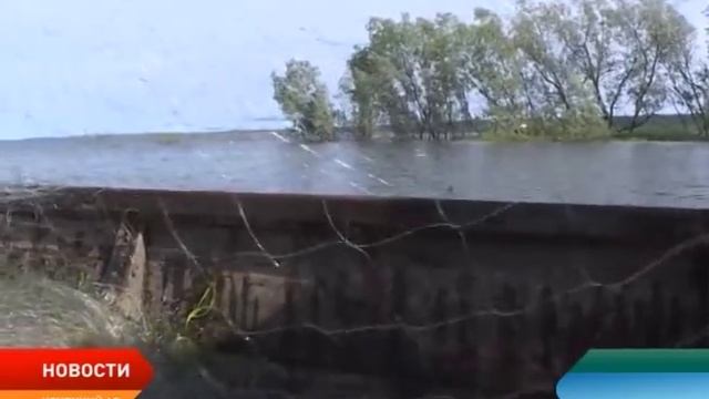 Исключить из Красной книги? Ученые приступили к изучению популяции нельмы в Печоре смотреть онлайн