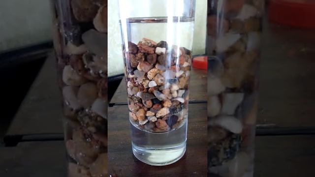 Проверка аквариумного грунта уксусной эссенцией. смотреть онлайн