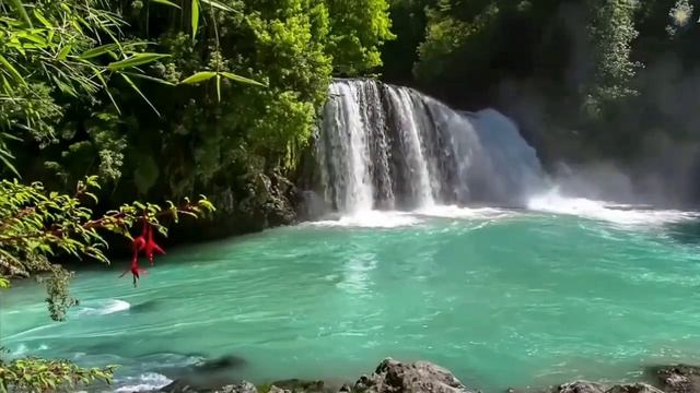 Ответы на вопросы зрителей. "Как перестать волноваться перед важным выступлением по работе" смотреть онлайн