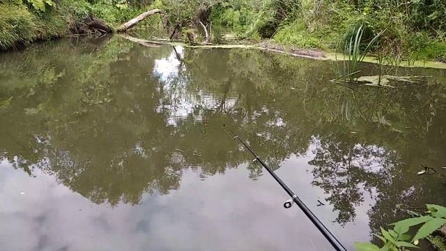 Елец-супер рыба))) смотреть онлайн