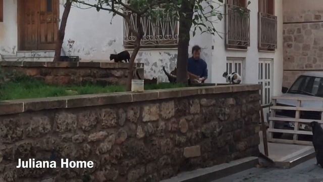 Анталия в январе/Турецкий Куклачёв?/Я опозорилась?♀️/Вечерний рынок Джума/Светящейся Шарамполь? смотреть онлайн