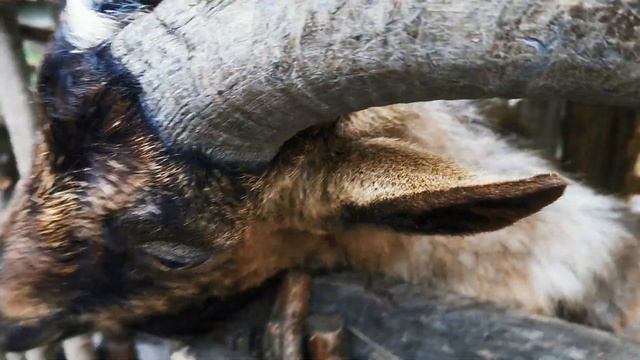 Медовые водопады ч.8 смотреть онлайн