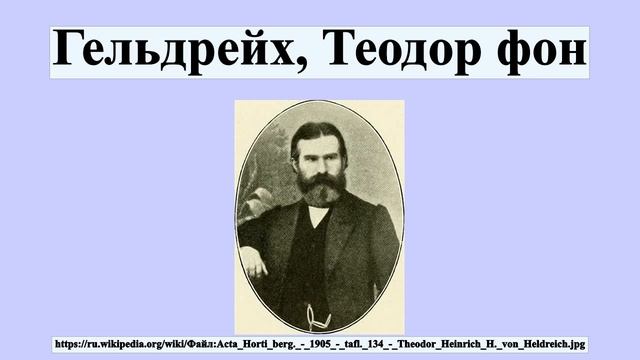 Гельдрейх, Теодор фон смотреть онлайн