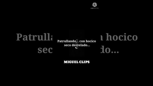 remik Gonzáles - Bernat - desvielados ~letra~ смотреть онлайн