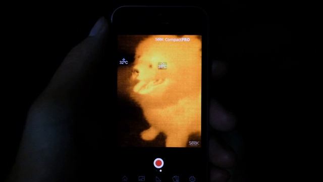 Seek thermal compact PRO #night1 смотреть онлайн
