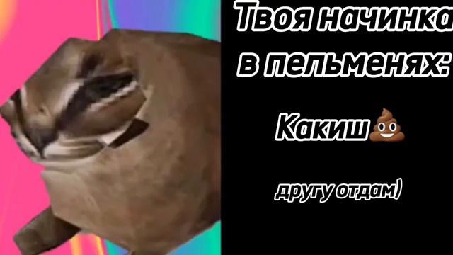 Твоя начинка в пельменях: смотреть онлайн