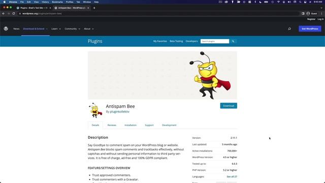 The Best FREE Anti-Spam Plugin For WordPress Comments смотреть онлайн