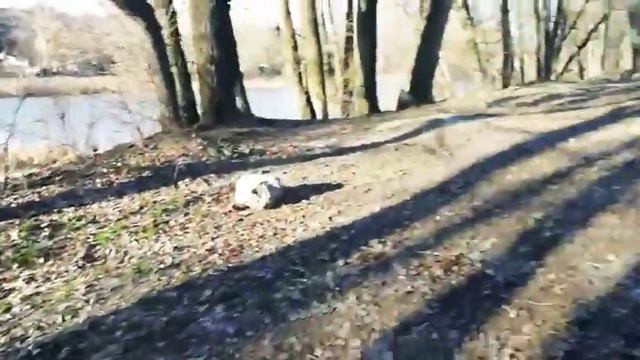 Особый человек способен видеть лучше, он смотрит сердцем - это много значит! Он видит чудеса вокруг смотреть онлайн