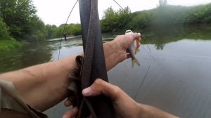 ЛОВЛЯ на ПАУК//ЩУКА СНОВА РВЕТ СЕТКУ //УТРО на РЕКЕ!