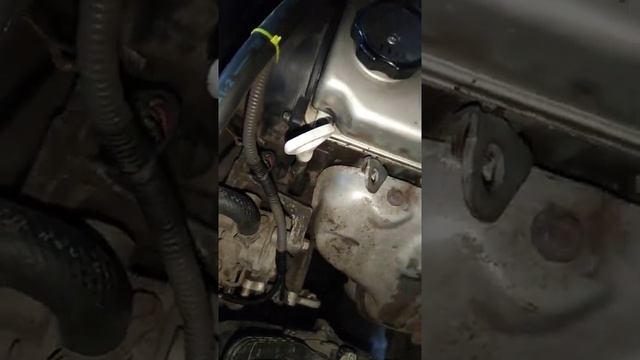 Булькающий звук. смотреть онлайн