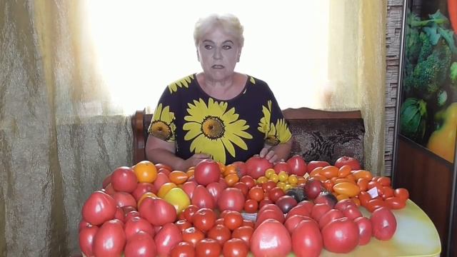 "БАТЯНЯ", 'ПУДОВИК", "ТЯЖЕЛОВЕС СИБИРИ" И "ЛЮБИМЫЙ ПРАЗДНИК" - ИХ СХОЖЕСТЬ И РАЗЛИЧИЯ. смотреть онлайн